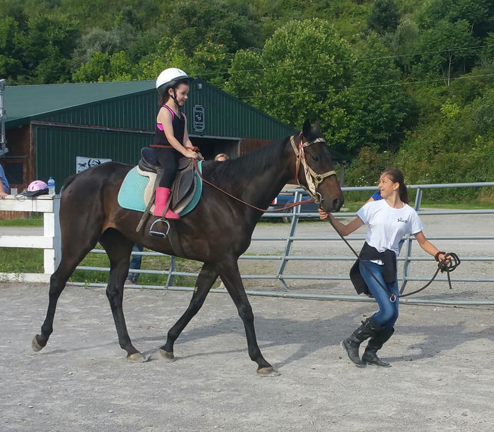Horse show planned this weekend